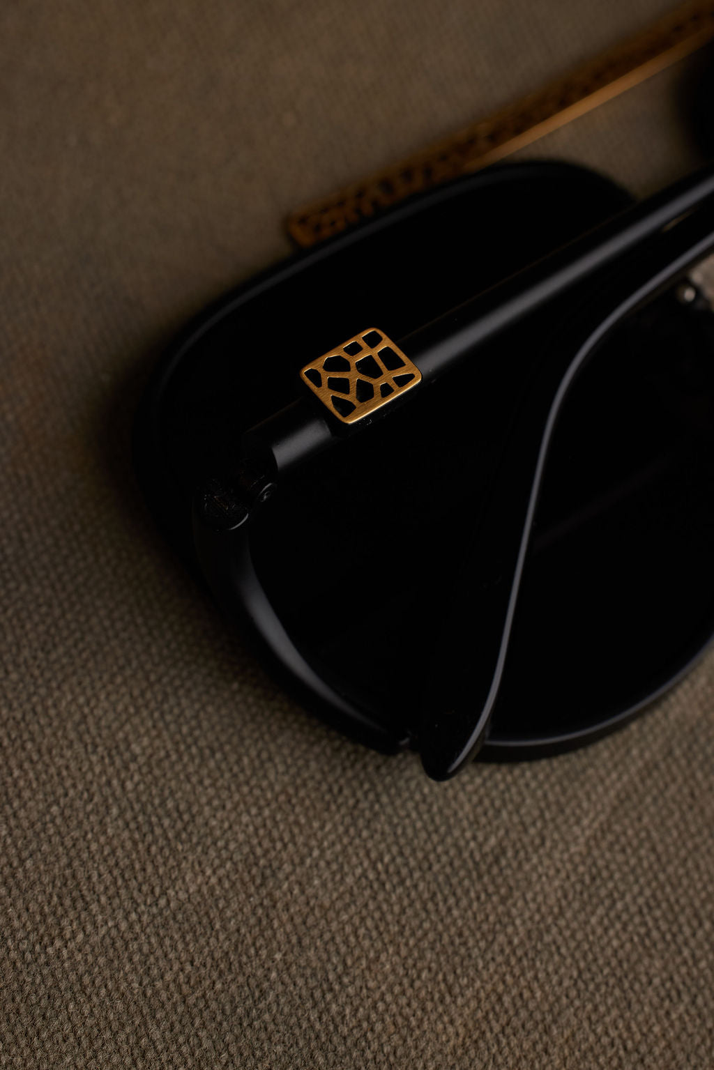 RAYE SUNGLASSES (PRE-ORDER)